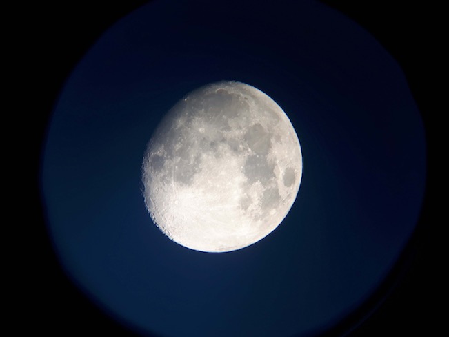lorainne-moon-es-fox-july-5_344K
