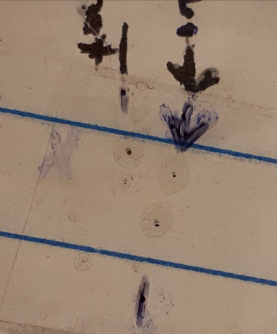 Lorraine's-mm's-crop